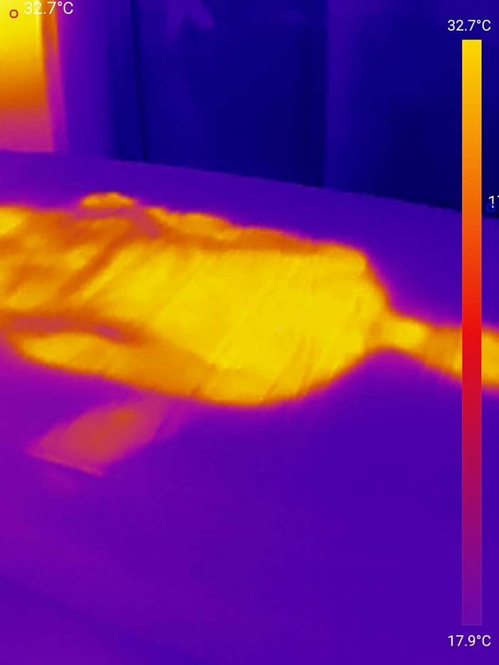 Dieses Bild zeigt die Temperatur der hn8 Matratze, direkt nachdem Tester auf ihr lag