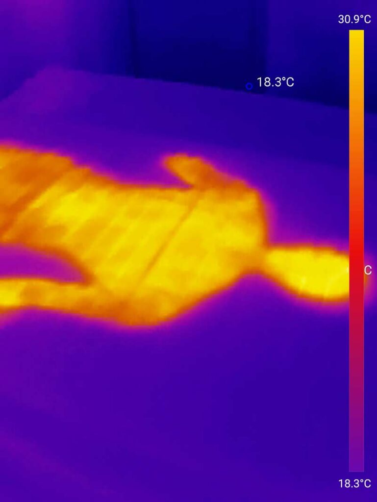 Dieses Bild zeigt die Temperatur der Aldi TRAUMNACHT SELECTION Matratze Ergo Kaltschaum mit integriertem Topper, direkt nachdem Tester aufstand