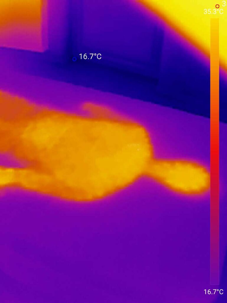 Dieses Bild zeigt die Temperatur der Asvang Matratze, direkt nachdem Tester aufstand