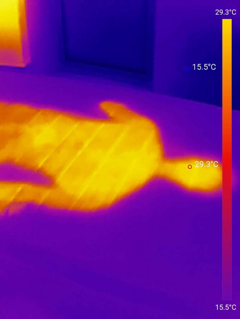 Dieses Bild zeigt die Temperatur der Livarno Komfortschaummatratze, direkt nachdem Tester aufstand