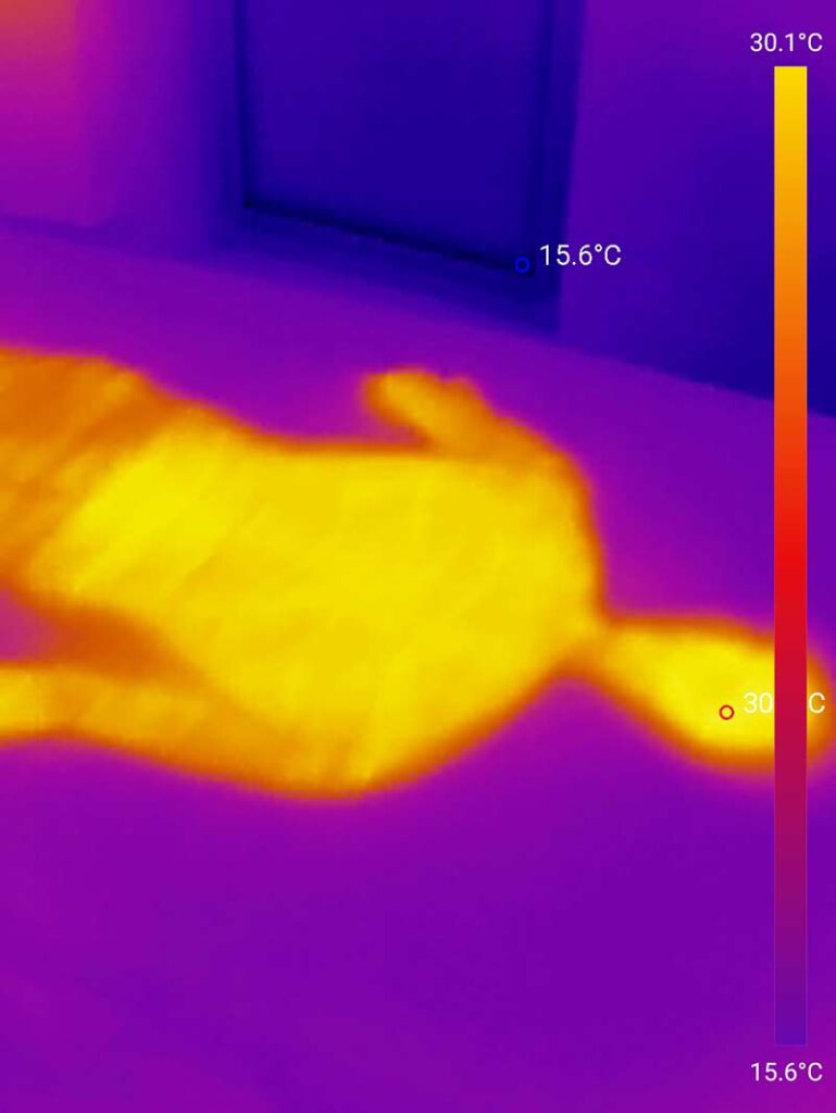 Dieses Bild zeigt die Temperatur der Meradiso Matratze, direkt nachdem Tester aufstand