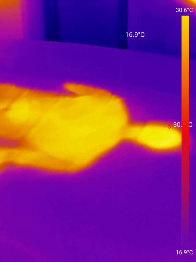Dieses Bild zeigt die Temperatur der Vesteröy Matratze, direkt nachdem Tester aufstand
