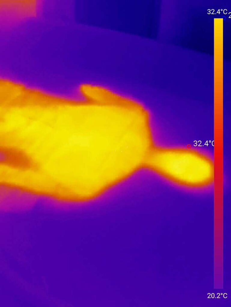 Dieses Bild zeigt die Temperatur der Vestmarka Matratze, direkt nachdem Tester aufstand